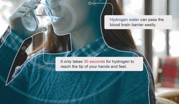 HYDROGEN WATER BOTTLE WITH BREATHING FUNCTION 3.2 ppm in 450 mL - LIFETECH PERU